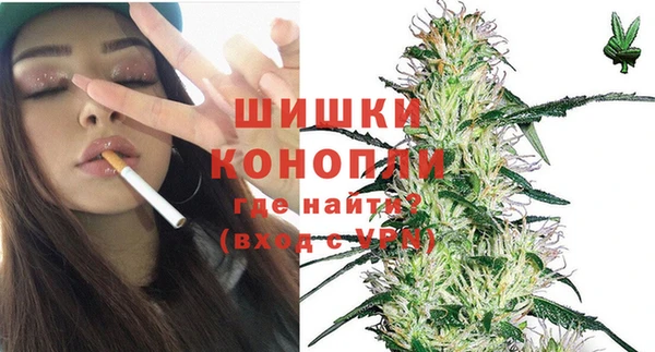 СК Кодинск